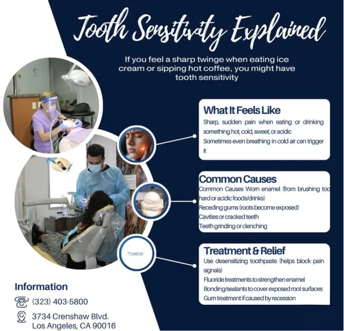 View the photos of our office